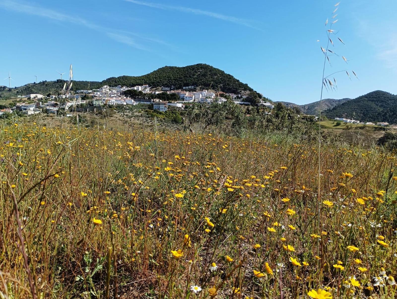 Complejo Rural Los Alcornoquillos Carratraca Dış mekan fotoğraf