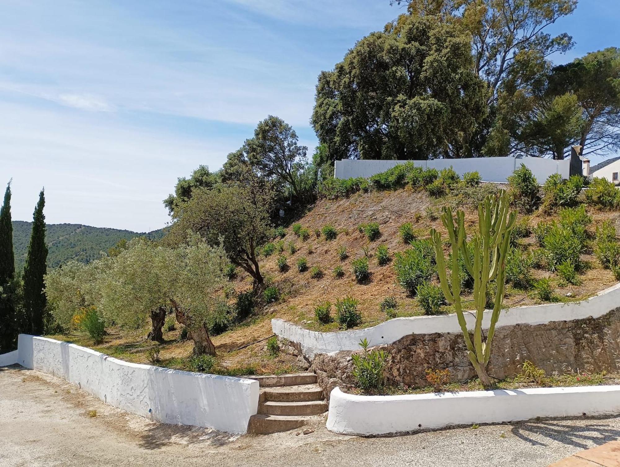 Complejo Rural Los Alcornoquillos Carratraca Dış mekan fotoğraf